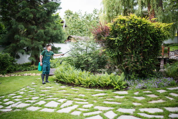 Professional Pest Control in North Wildwood, NJ