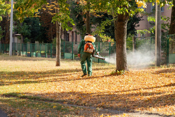 Best Pest Prevention Services  in North Wildwood, NJ