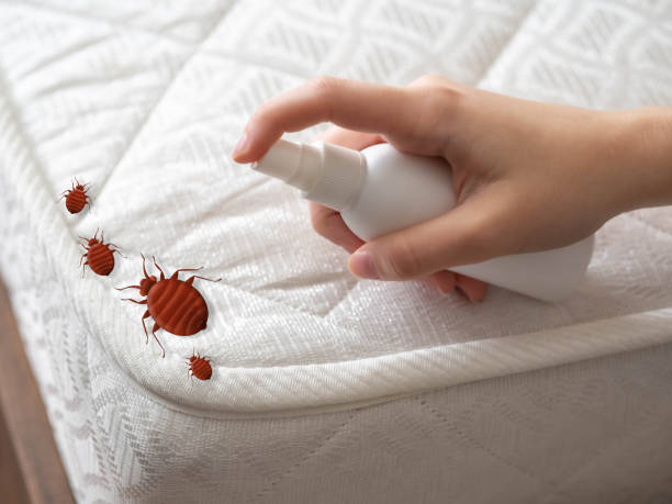 Best Pest Removal Services  in North Wildwood, NJ