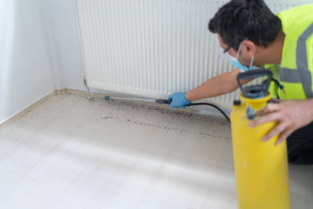 Best Bed Bug Extermination  in North Wildwood, NJ